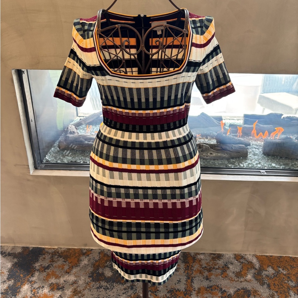Striped Multicolor Milly Bodycon Dress